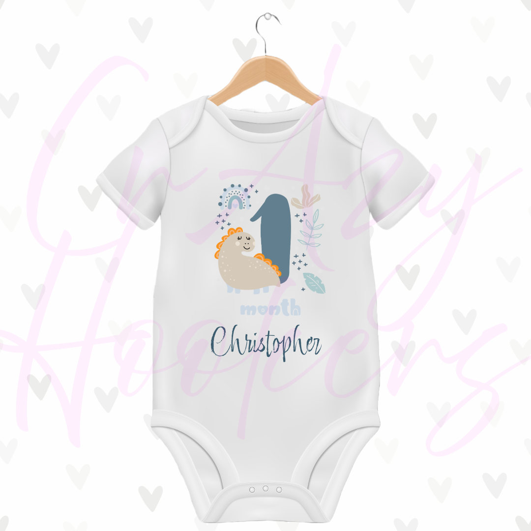 Personalized Baby Grow - Full 12 Month Set - Dinosaurs