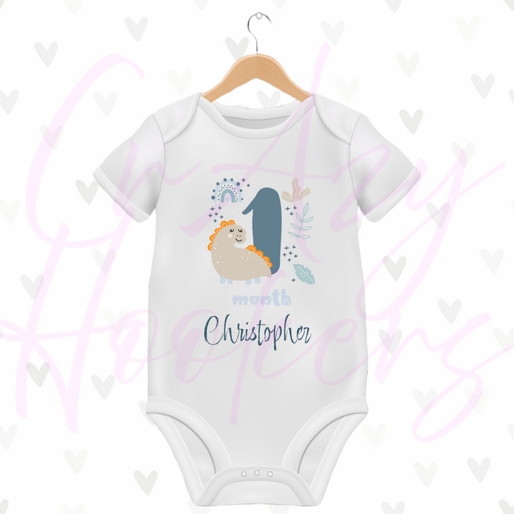 Personalized Baby Grow - Full 12 Month Set - Dinosaurs