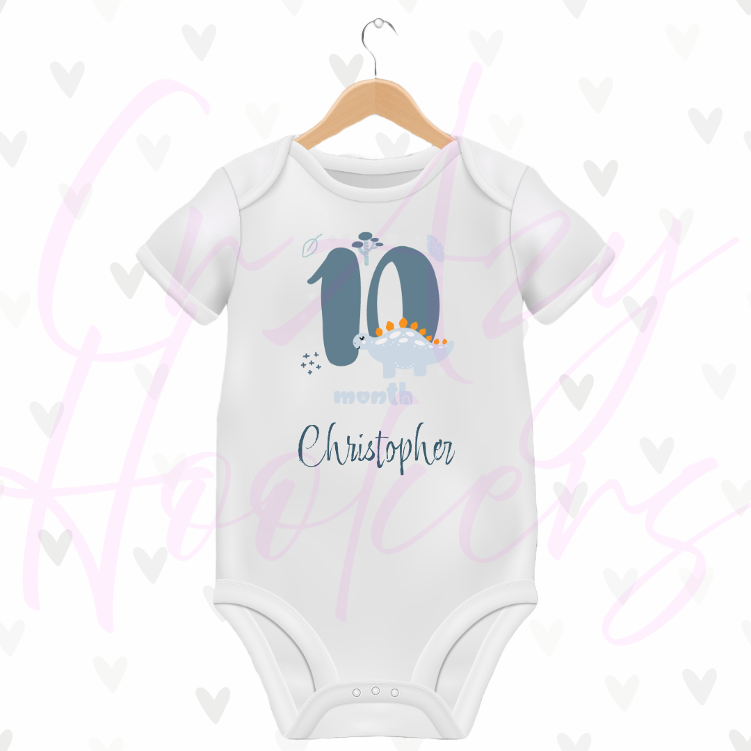 Personalized Baby Grow - Full 12 Month Set - Dinosaurs