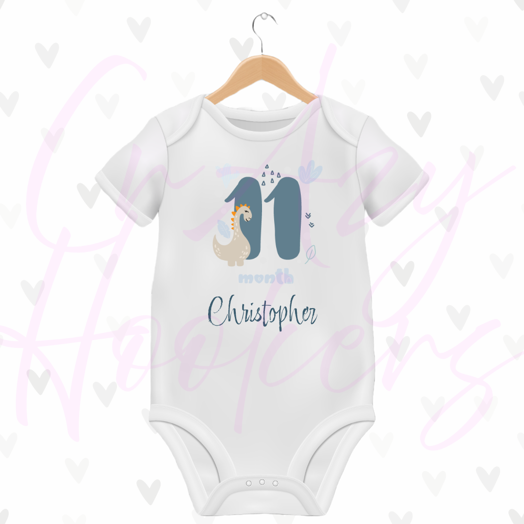 Personalized Baby Grow - Full 12 Month Set - Dinosaurs