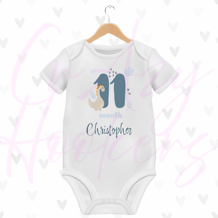 Personalized Baby Grow - Full 12 Month Set - Dinosaurs