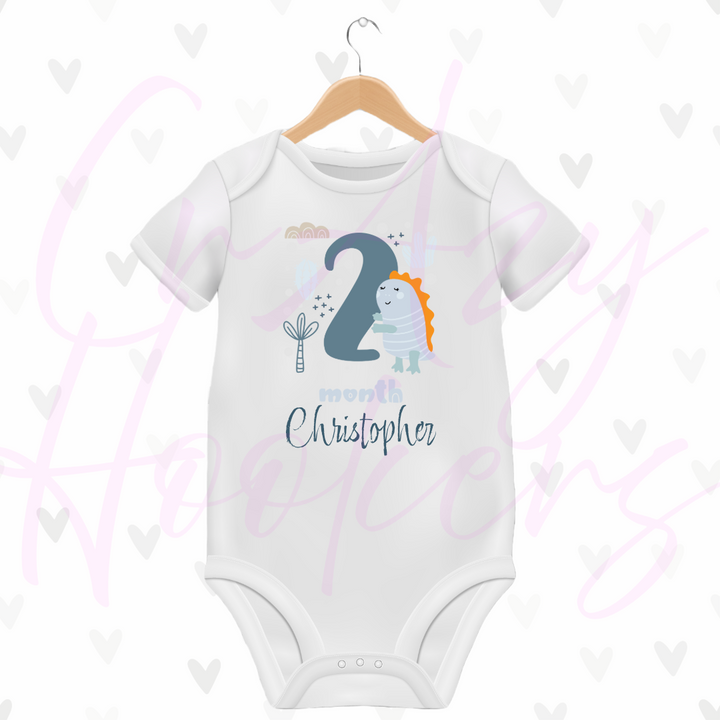 Personalized Baby Grow - Full 12 Month Set - Dinosaurs