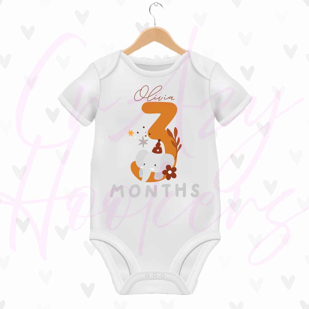Personalized Baby Grow - Full 12 Month Set - Animals