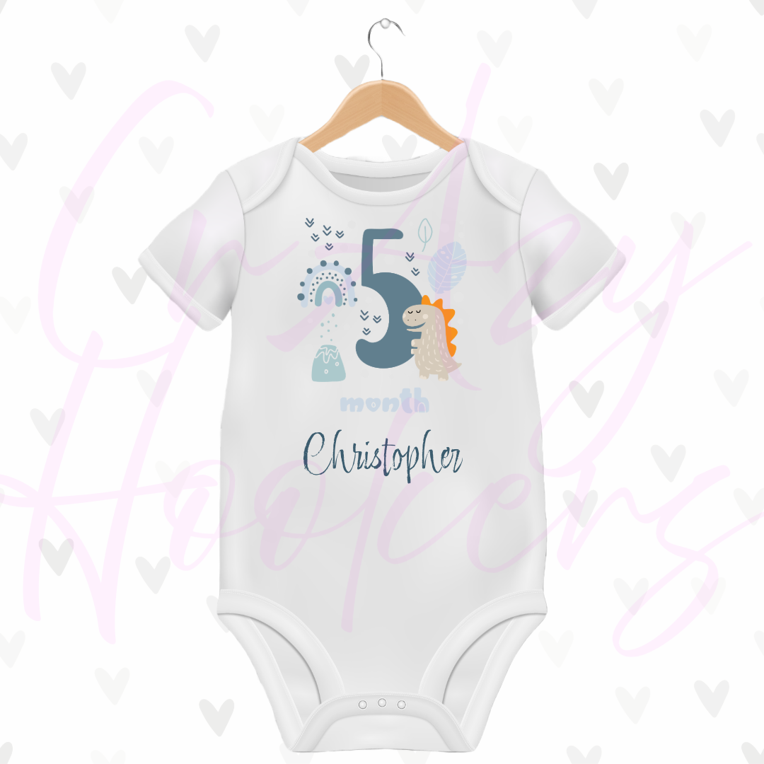 Personalized Baby Grow - Full 12 Month Set - Dinosaurs