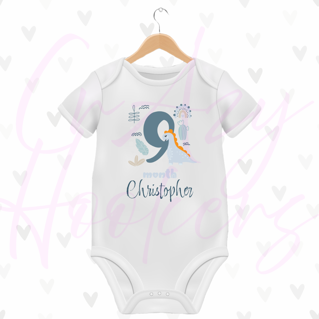 Personalized Baby Grow - Full 12 Month Set - Dinosaurs