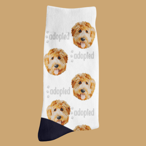 Personalized socks - Dog (Adopted)